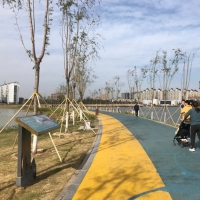 柘城容湖國家濕地公園，深秋美如畫