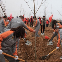 為鶴城大地增添新綠 鶴壁人防組織參加全市義務(wù)植樹活動