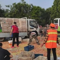 拉雞蛋貨車側(cè)翻，商丘環(huán)衛(wèi)工人和路過市民紛紛上前幫忙撿拾雞蛋