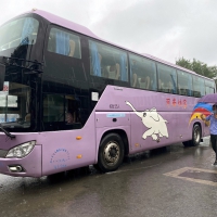 受強(qiáng)降雨影響 鄭州各汽車站今日停發(fā)697個(gè)班次