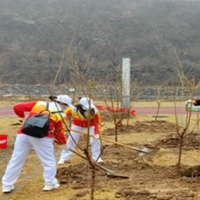 河南安陽(yáng)：健步新時(shí)尚 植綠美太行