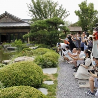 絲路織紐帶 攜手向未來丨這個太白山唐風小鎮(zhèn)，讓你“秒回”唐朝