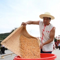 南陽：健身+健康，處處“農家樂”