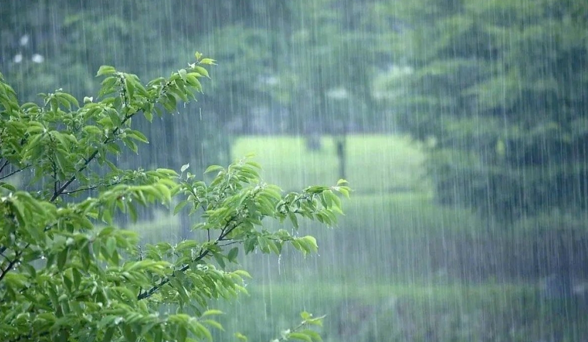 河南南部和東部有大到暴雨、大暴雨！