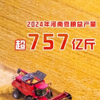 2024年河南夏糧總產量超757億斤 實現(xiàn)增產豐收