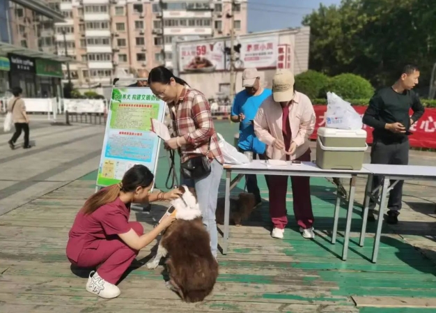 鄭州可線上為愛(ài)犬辦電子證