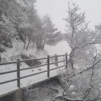 氣溫先升后降！本周河南還有9級陣風(fēng)+中雪