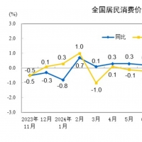 2024年11月份居民消費(fèi)價格同比上漲0.2%